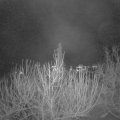 Webcam_20201216-070000