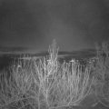 Webcam_20201216-080000