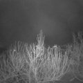Webcam_20201218-070000
