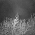 Webcam_20201219-061500