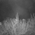 Webcam_20201219-063000