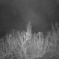 Webcam_20201219-080000