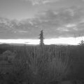 Webcam_20201219-084500