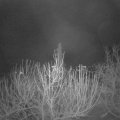 Webcam_20201220-053000
