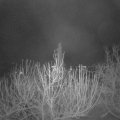 Webcam_20201220-060000