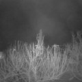 Webcam_20201220-063000