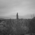Webcam_20201220-090000