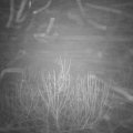 Webcam_20201221-051500