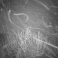Webcam_20201221-070000