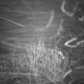Webcam_20201221-071500