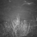 Webcam_20201221-073000