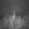 Webcam_20201221-080000
