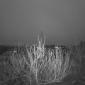 Webcam_20201222-084500