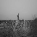 Webcam_20201222-090000