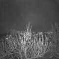 Webcam_20201222-191500
