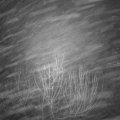 Webcam_20201223-050000