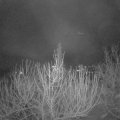 Webcam_20201223-061500