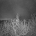 Webcam_20201223-063000
