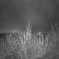 Webcam_20201223-064500