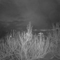 Webcam_20201225-081500