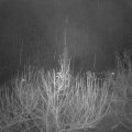 Webcam_20201226-053000