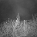 Webcam_20201227-080000