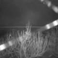 Webcam_20201229-053000