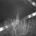 Webcam_20201229-060000