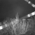 Webcam_20201229-193000