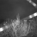 Webcam_20201229-200000
