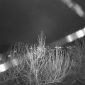 Webcam_20201229-210000