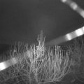 Webcam_20201230-050000