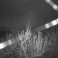 Webcam_20201230-054500