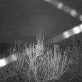 Webcam_20201230-060000