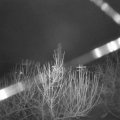 Webcam_20201230-064500
