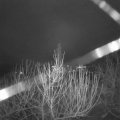 Webcam_20201230-083000