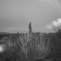 Webcam_20201230-090000