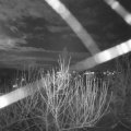 Webcam_20201230-200000