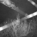 Webcam_20201231-050000