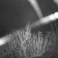 Webcam_20201231-051500