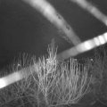 Webcam_20201231-054500