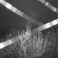Webcam_20201231-060000