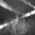 Webcam_20201231-061500