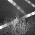 Webcam_20201231-064500