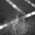 Webcam_20201231-070000