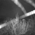 Webcam_20201231-073000