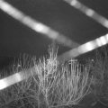 Webcam_20201231-074500