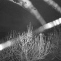 Webcam_20201231-080000