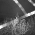 Webcam_20201231-081500