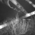 Webcam_20201231-200000